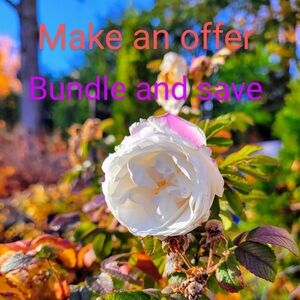 Meet your Posher, Patricia